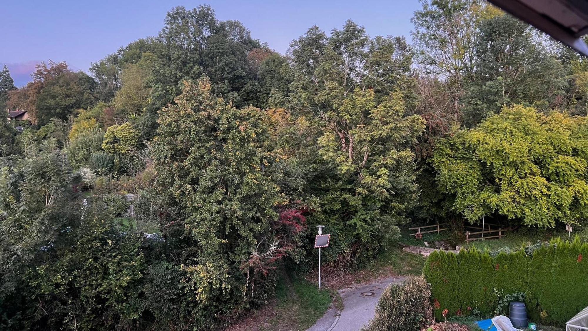 Apartment Modernes In Naehe Des Ravensburger Zentrums Und Bodensee *